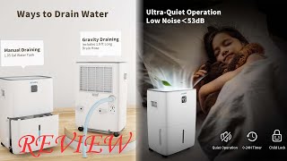 Dehumidifier for 2500 sq ft Rooms review 2024 [upl. by Kenzie]