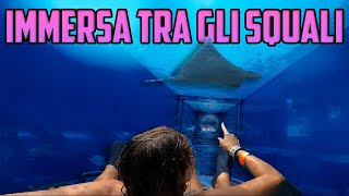 SCIVOLO TRA GLI SQUALI una giornata allatlantis acquaventure dubai con ValentinoPezzi [upl. by Oirevas194]