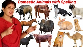 Domestic Animals Name for Kids with Spelling  Sheep Cow Dog Yak Ox  Animals Video  Cow Video [upl. by Milore]