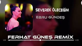 Ebru Gündeş  Bin Kere Gelsem Dünyaya  Ferhat Güneş Remix [upl. by Toinette]