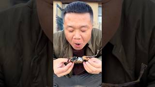 Wild Eating Frog 🐸 chinese chinesefood frog shorts [upl. by Ambros]