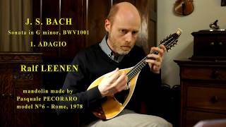 BACH  Sonata in g minor BWV1001  ADAGIO  Ralf LEENEN [upl. by Uchida]