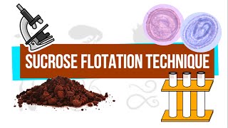 Sucrose Flotation Technique  UPLB Parasitology Research Laboratory [upl. by Aoniak]