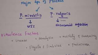 Proteus  Morphology Virulence Factor Antigenic Properties and Symptoms [upl. by Winwaloe]