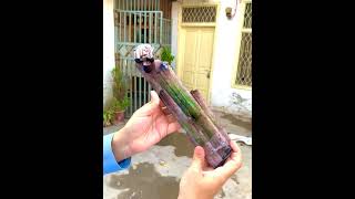 Multicolor Tourmaline with Quartz from Afghanistan [upl. by Poree]