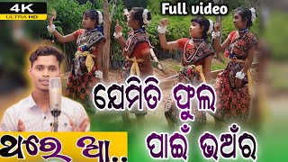 jemiti phula pain bhanra song l Thare Aa Full videos l singer Guru Naman  bbabluvlogs4717 [upl. by Haym]