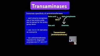 Transaminases Aminotransferases  Metabolism Made Easy [upl. by Britney]