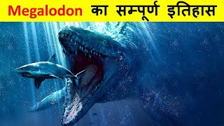 दुनिया की सबसे खतरनाक शार्क  मेगालोडोन  History of Megalodon and Why they went Extinct [upl. by Ishmael]