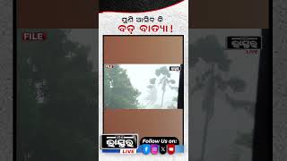 ପୁଣି ଆସିବ କି ବଡ ବାତ୍ୟା ytshorts shortsvideo odishabhaskar weatherupdate odisha cyclone [upl. by Suckram183]