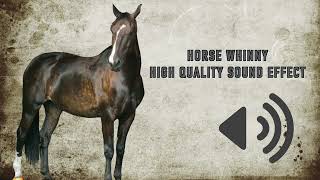 Horse Whinny Sound Effects  High Quality [upl. by Otcefrep]