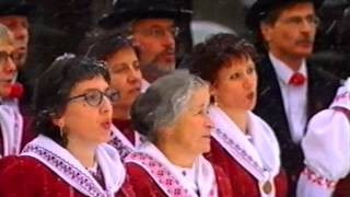 Oberwalliser Volksliederchor D ibischi Zyt Kein schöner Land 1999 [upl. by Alrep]