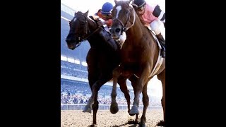 AFFIRMED VS ALYDAR The Triple Crown [upl. by Asta]