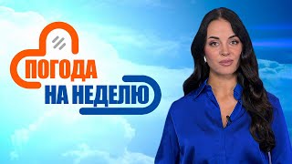 Существенных осадков не ожидается  Погода в Беларуси с 20 по 26 октября  Плюсминус [upl. by Swanhilda]