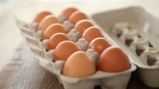 Sara Lynns Awesome Egg Tips [upl. by Ateinotna864]