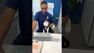 The BEST transformation for this paralyzed cat short vet cat vetphysio catlover catvideos [upl. by Pincince]