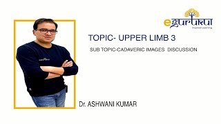 Last Minute Revision Program  Upper Limb Part3  Ashwani Kumar  eGurukul  DBMCI [upl. by Ynahpets]