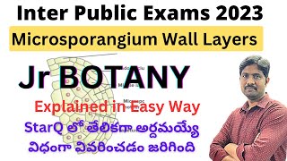 Microsporangium Wall Layers Explained in Easy Way  Jr Botany Most Important Questions [upl. by Crissy]