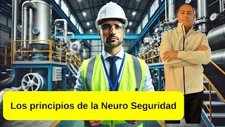 Los principios de la Neuro Seguridad [upl. by Manning748]