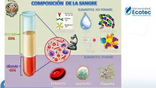 Tóxicologia Clase 4 y Clase 5 [upl. by Caiaphas]