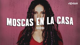 Shakira  Moscas en la Casa Letra [upl. by Kaule752]