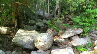 Drone Videography of Oribi Gorge Nature Reserve KwaZuluNatal [upl. by Roux629]