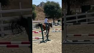 Another 2023 Throwback 😂💗 equestrainlife showjumping taylorswift [upl. by Arihsa]