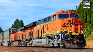 BNSF Trains [upl. by Laurinda]