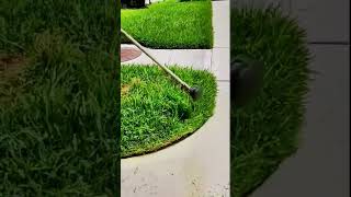 Perfect Lawn Edges Watch and Listen to the Satisfying Mow [upl. by Mingche359]