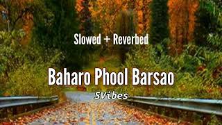 Baharo Phool Barsao By Mohammad Rafi  Slowed and Reverbed SVibes [upl. by Acissej]