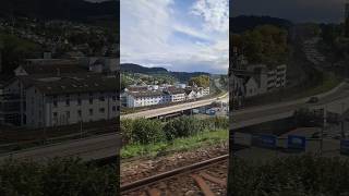 schaffhausen schweiz suisse schwitzerland shorts yt [upl. by Sofer]