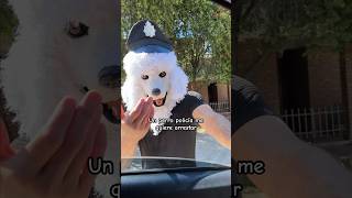 Un PERRO policía me quiere arrestar perro viral [upl. by Tuhn]