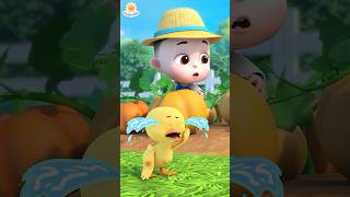 Ducky Got a Boo Boo 🥺 Boo Boo Song  Nursery Rhymes  Kids Songs  LiaChaCha  shorts baby [upl. by Akli]