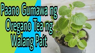 Paano gumawa ng oregano tea na walang pait how to create oregano tea [upl. by Loring57]