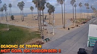 Venice Beach Webcam  Venice Beach Live Cam  venice beach live boardwalk cam [upl. by Ottinger]