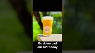 Discover Orlando Breweries orlando alcohol beer brewery craftbeer [upl. by Barvick]