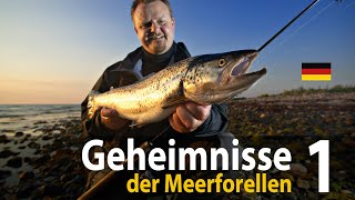 Geheimnisse der Meerforellen 1 Spinnfischen [upl. by Rubbico550]