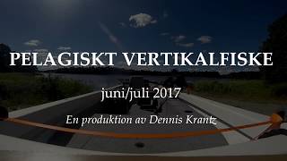 Pelagiskt vertikalfiske [upl. by Coad]