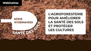 Lagroforesterie pour améliorer la santé des sols et protéger les cultures [upl. by Buseck62]