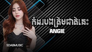 កំដរបងត្រឹមជាតិនេះ  AnGie Music Lyrics [upl. by Manuel]