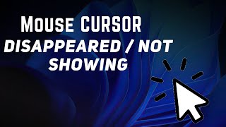 How to Fix Mouse Cursor Disappeared on Windows 10 amp 11  Fixed 100 [upl. by Essirehs472]