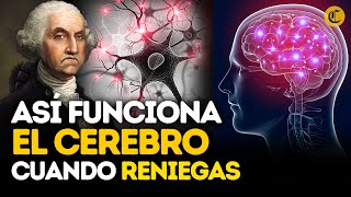 ¿CÓMO FUNCIONA EL CEREBRO 🧠 Esto pasa cuando no comes [upl. by Erv]