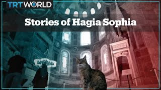 Stories of Hagia Sophia [upl. by Waldron278]