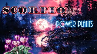 Scorpio Power Plants [upl. by Eislrahc]