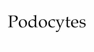 How to Pronounce Podocytes [upl. by Nerin]