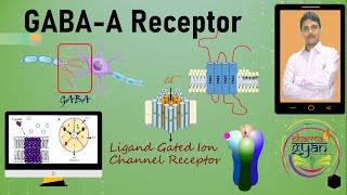 GABAA Receptor II Ligand gated ion channel receptor GABA Receptor [upl. by Kenay]