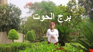 صفات برج الحوت 2019 👌🏻❤️ وليه بيدخلوا القلب بسرعة [upl. by Artim]