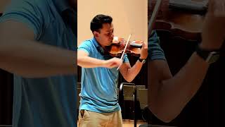 Sibelius Violin Concerto [upl. by Annor]