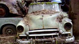 Autofriedhof Kaufdorf  last walk across the swiss junkyard [upl. by Monetta]