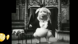 Pathé  Frères  Le cochon danseur The Dancing Pig 1907 [upl. by Constant]