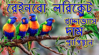 Rainbow Lorikeet Information in Bangla [upl. by Aenitsirhc461]